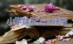 小学数学怎么辅导