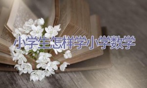 小学生怎样学小学数学
