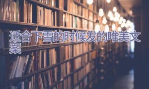 适合下雪的时候发的唯美文案