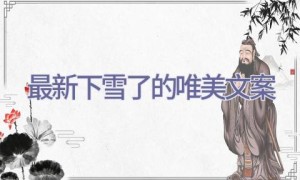 最新下雪了的唯美文案