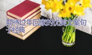期待过年回家的优美文案句子经典