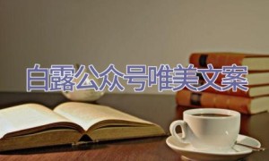 白露公众号唯美文案