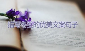 描写冬至的优美文案句子
