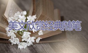 美文欣赏经典随笔