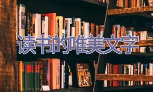 读书的唯美文字