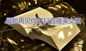 最新再见2021你好2022抖音唯美文案
