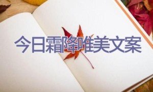 今日霜降唯美文案