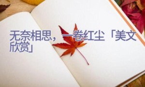 无奈相思，一卷红尘「美文欣赏」
