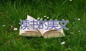 读书的美文