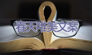 春天唯美文案