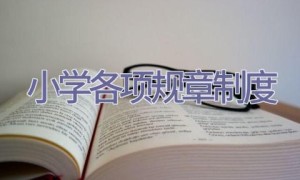 小学各项规章制度