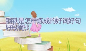 钢铁是怎样炼成的好词好句好段摘抄