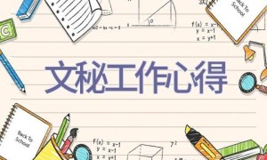 文秘工作心得