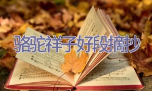 骆驼祥子好段摘抄