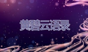 黄碧云语录
