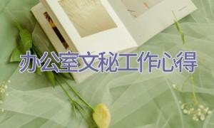 办公室文秘工作心得