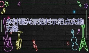 乡村振兴示范村示范点实施方案