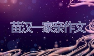 苗汉一家亲作文
