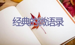 经典的微语录
