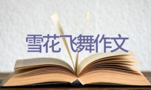 雪花飞舞作文