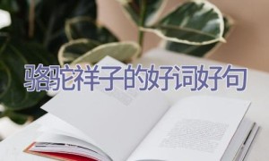 骆驼祥子的好词好句