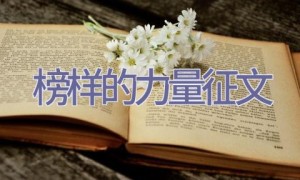 榜样的力量征文