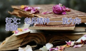 征文：老兵精神——我为你骄傲