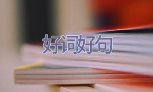 好词好句