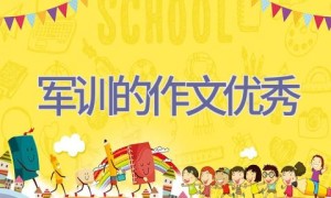 军训的作文优秀