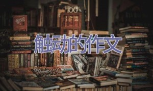 触动的作文