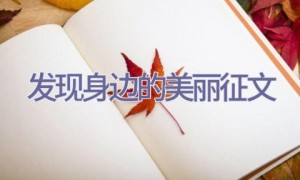 发现身边的美丽征文