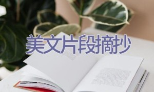 美文片段摘抄