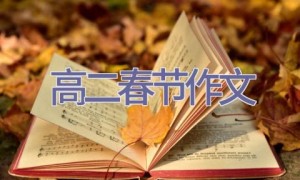 高二春节作文