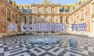 读《火烧圆明园》有感