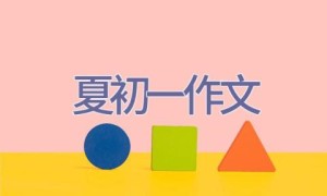 夏初一作文