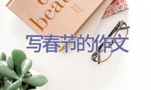 写春节的作文