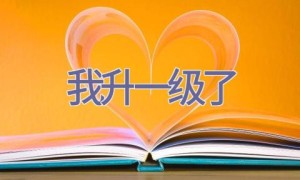 我升一级了