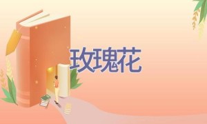 玫瑰花