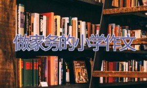 做家务的小学作文