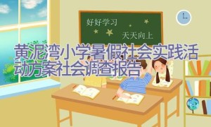 黄泥湾小学暑假社会实践活动方案-社会调查报告