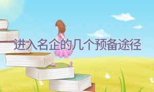 进入名企的几个预备途径