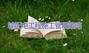 输配电工程施工管理策略