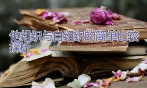 他组织与自组织的简单比较探析