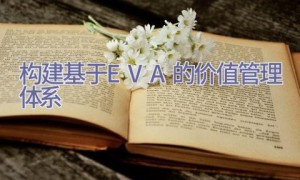 构建基于EVA的价值管理体系