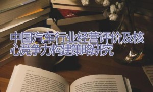 中国汽车行业经营评价及核心竞争力构建策略研究