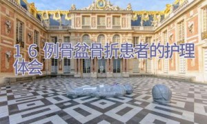 16例骨盆骨折患者的护理体会