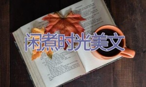 闲煮时光美文