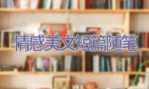 情感美文短篇随笔