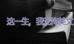 这一生,我无悔美文