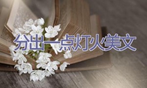 分出一点灯火美文